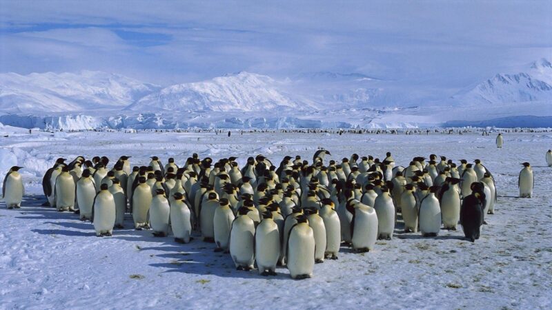 Antarctica Tourism