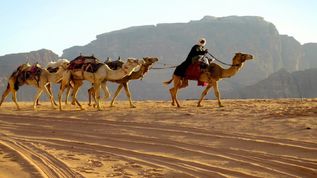 Bedouin 9