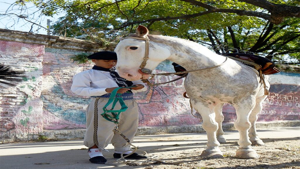 Gaucho 1