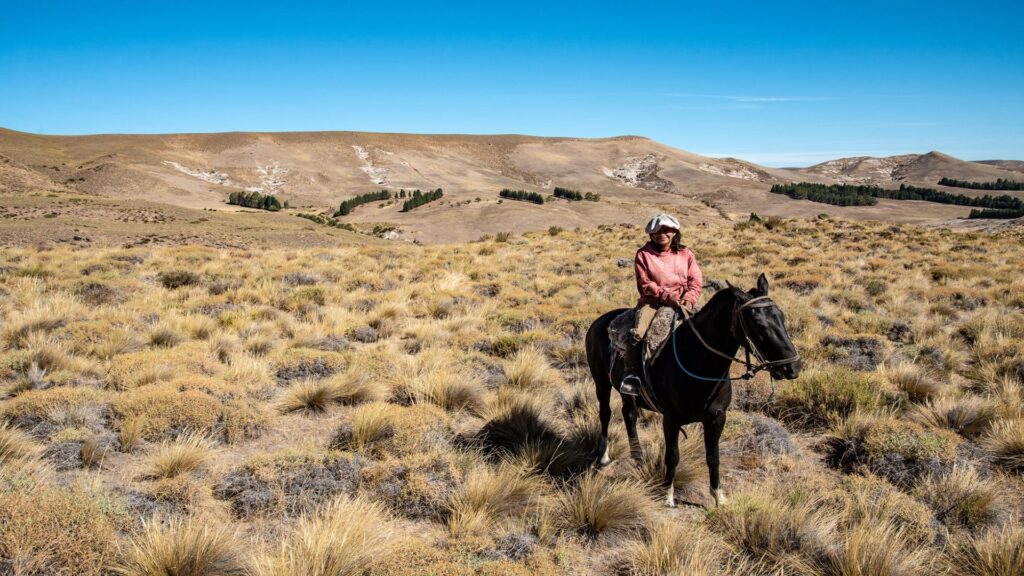 Gaucho 3