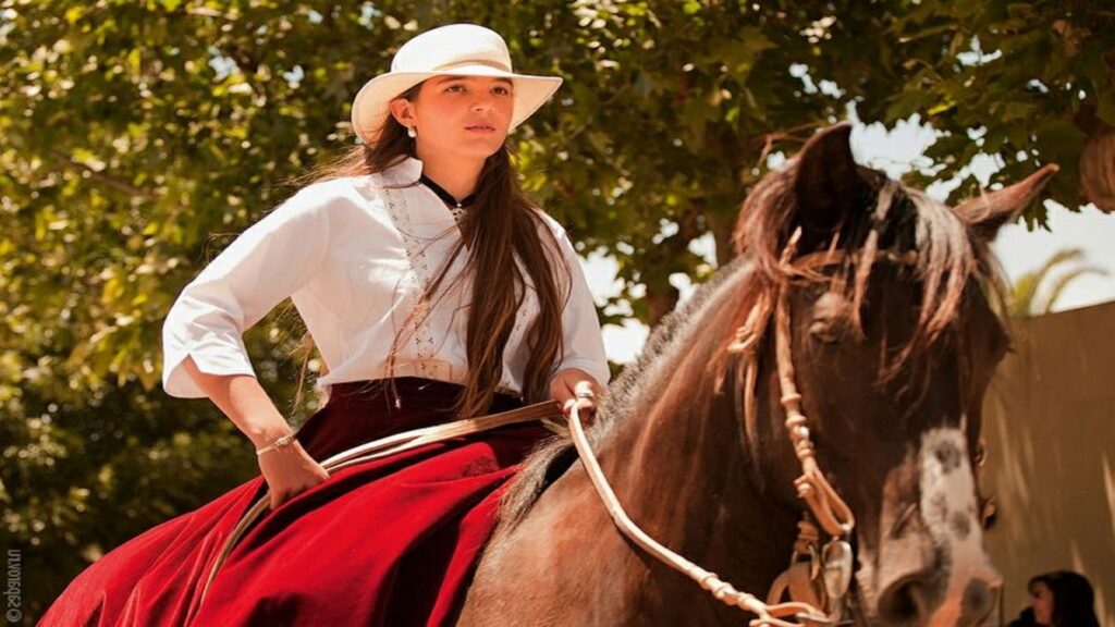 Gaucho 4