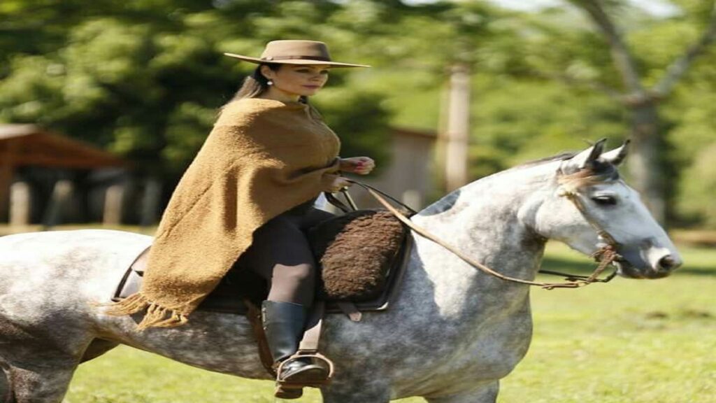 Gaucho 5