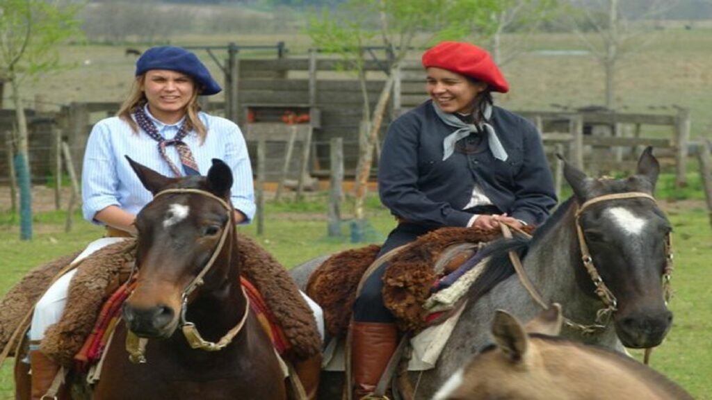 Gaucho 8