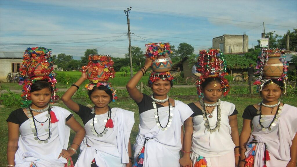 Tharu 6