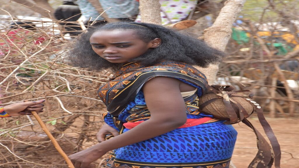 Borana 6