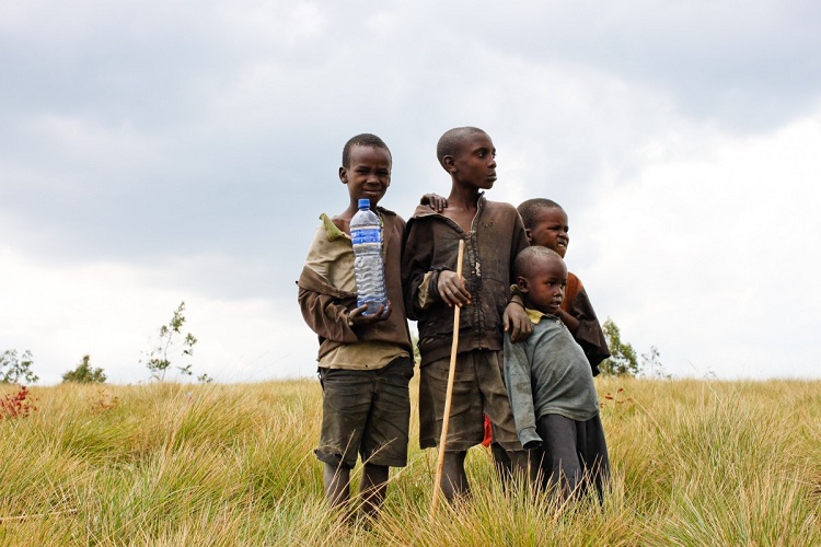 Food insecurity and crisis 2020