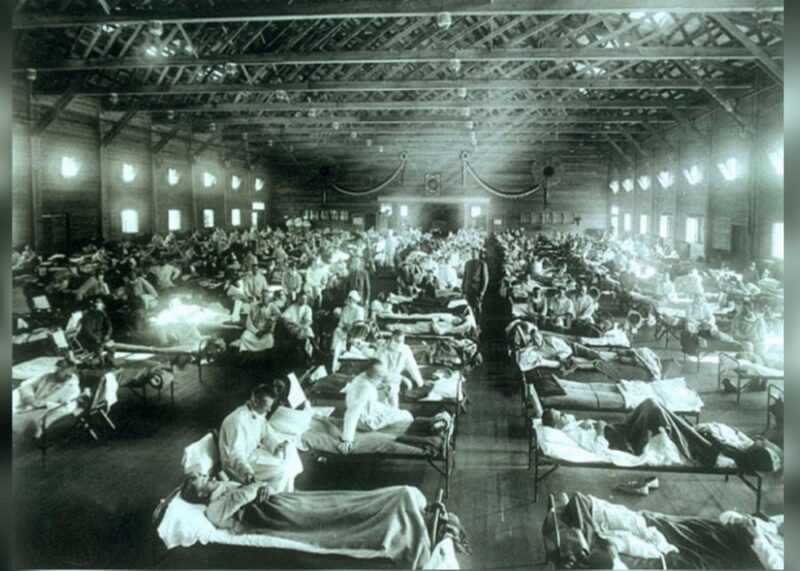 1918, Spanish flu