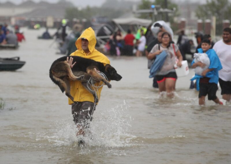 2017, Hurricane Harvey