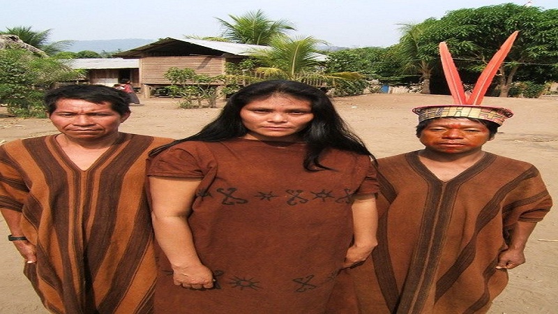Ashaninka 7