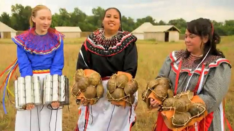 Chickasaw 8